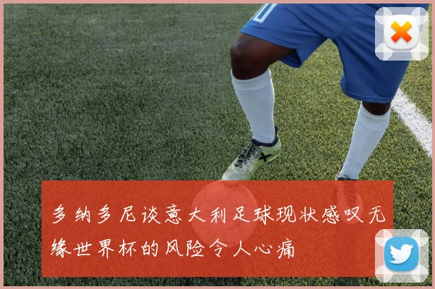 多纳多尼谈意大利足球现状感叹无缘世界杯的风险令人心痛