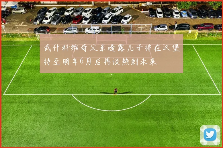 武什科维奇父亲透露儿子将在汉堡待至明年6月后再谈热刺未来